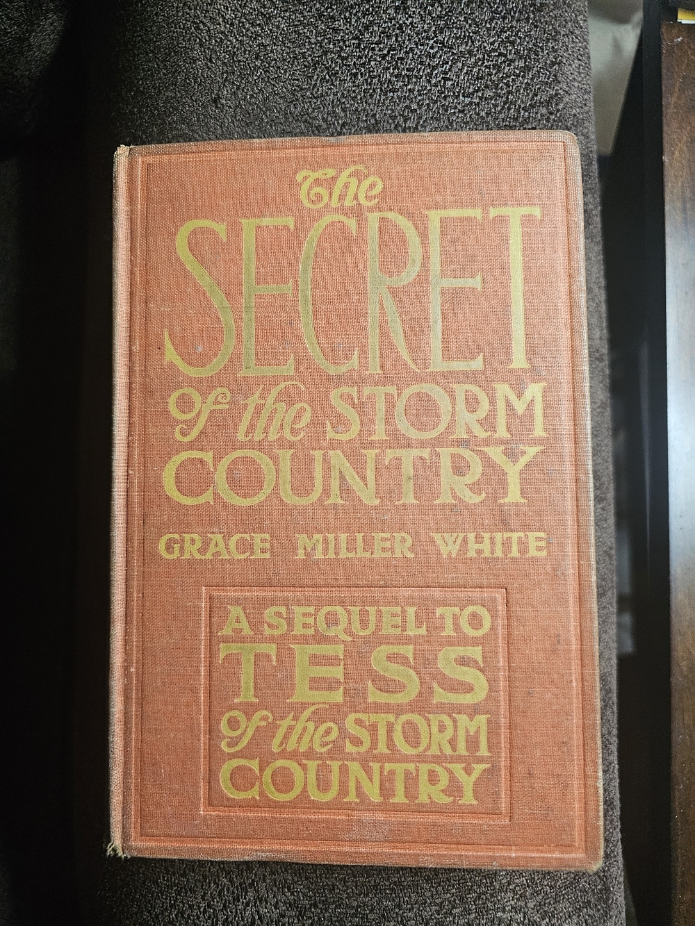 The Secret of the Storm Country by Grace Miller White, 1917 1st Edition Book